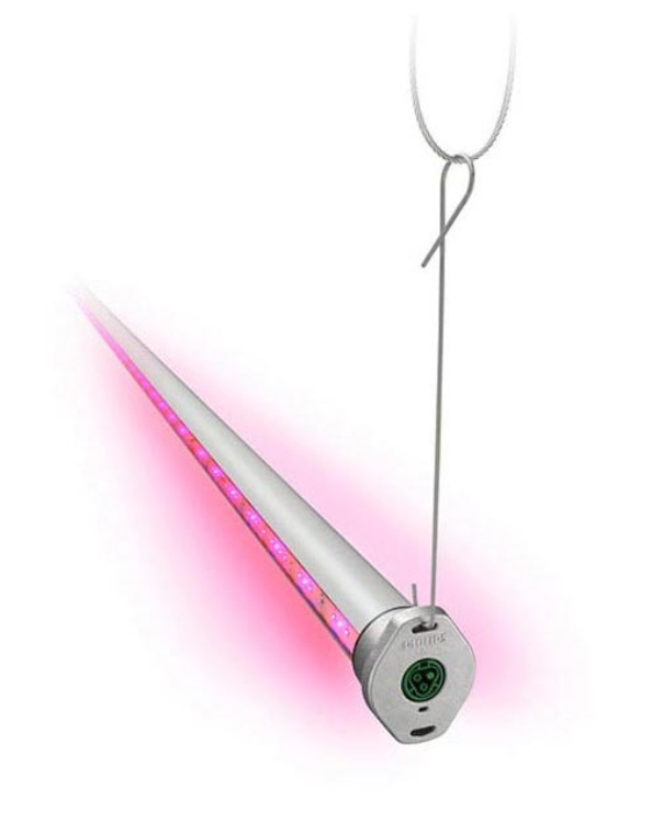 osveshenie dlya teplic osveshenie philips