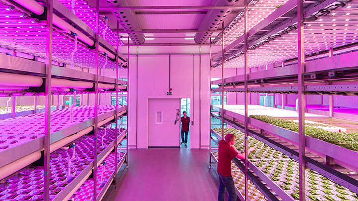 Climate rooms for indoor cultivation