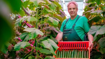 Getliņi EKO full-LED