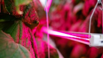 Philips GreenPower LED interlighting