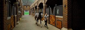 Bourne Hill Stables создает более безопасную среду с помощью освещения УФ-С